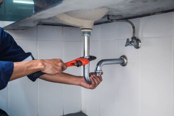  Ortonville, MI Plumbing Pros